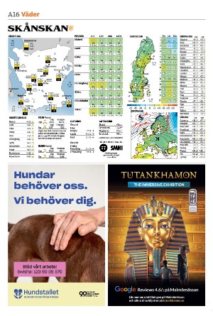 skanskadagbladet_z3-20250116_000_00_00_016.pdf