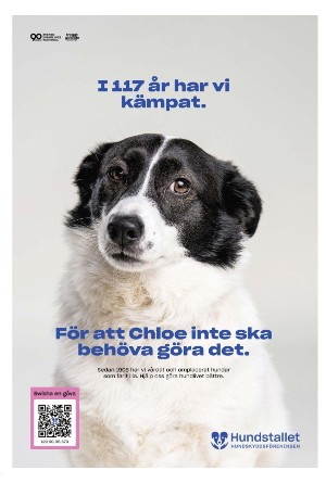 skanskadagbladet_z3-20250306_000_00_00_003.pdf