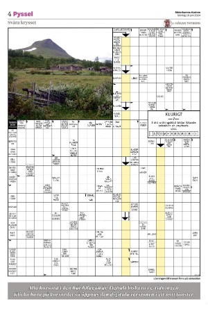 soderhamnskuriren_bilag1-20240616_000_00_00_004.pdf