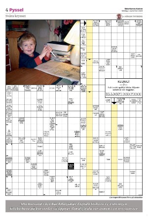 soderhamnskuriren_bilag1-20240901_000_00_00_004.pdf