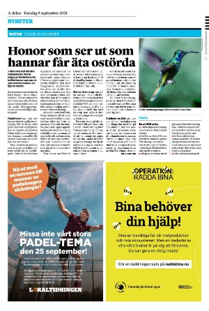 sydsvenskadagbladet_lund-20210909_000_00_00_032.pdf