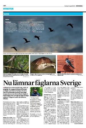 sydsvenskadagbladet_lund-20220811_000_00_00_010.pdf