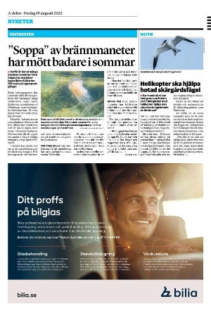 sydsvenskadagbladet_lund-20220819_000_00_00_024.pdf