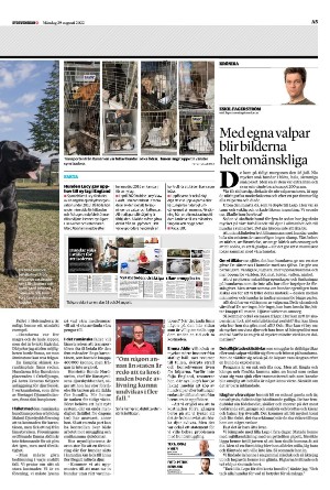 sydsvenskadagbladet_lund-20220829_000_00_00_005.pdf