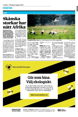 sydsvenskadagbladet_lund-20220831_000_00_00_020.pdf