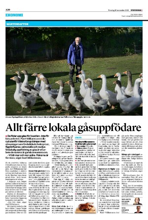 sydsvenskadagbladet_lund-20221110_000_00_00_020.pdf