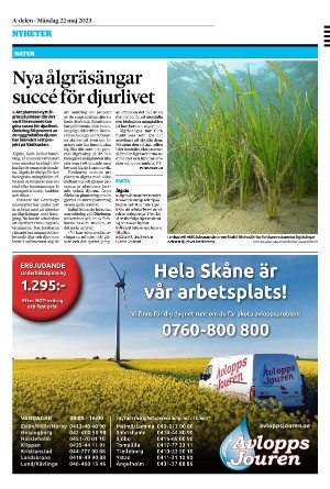 sydsvenskadagbladet_lund-20230522_000_00_00_020.pdf