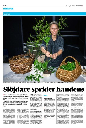 sydsvenskadagbladet_lund-20230608_000_00_00_020.pdf