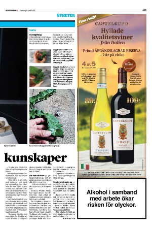 sydsvenskadagbladet_lund-20230608_000_00_00_021.pdf