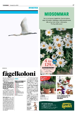 sydsvenskadagbladet_lund-20230622_000_00_00_007.pdf