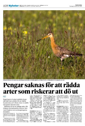 sydsvenskadagbladet_lund-20231123_000_00_00_018.pdf