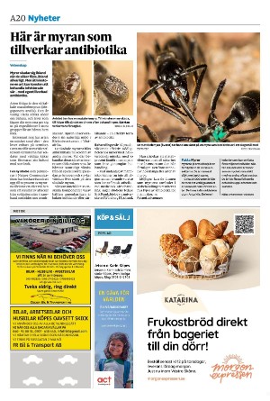 sydsvenskadagbladet_lund-20240109_000_00_00_020.pdf