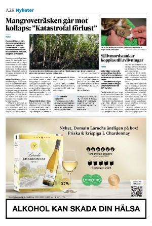 sydsvenskadagbladet_lund-20240524_000_00_00_028.pdf