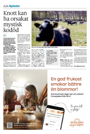 sydsvenskadagbladet_lund-20240603_000_00_00_024.pdf