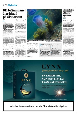 sydsvenskadagbladet_lund-20240705_000_00_00_028.pdf