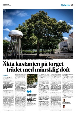 sydsvenskadagbladet_lund-20240712_000_00_00_007.pdf