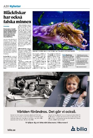 sydsvenskadagbladet_lund-20240723_000_00_00_020.pdf