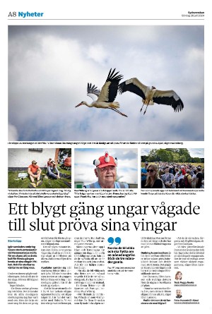 sydsvenskadagbladet_lund-20240728_000_00_00_008.pdf