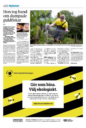 sydsvenskadagbladet_lund-20240801_000_00_00_020.pdf