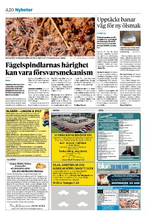 sydsvenskadagbladet_lund-20240827_000_00_00_020.pdf