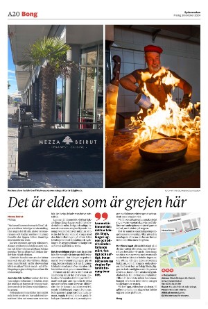 sydsvenskadagbladet_lund-20241018_000_00_00_020.pdf