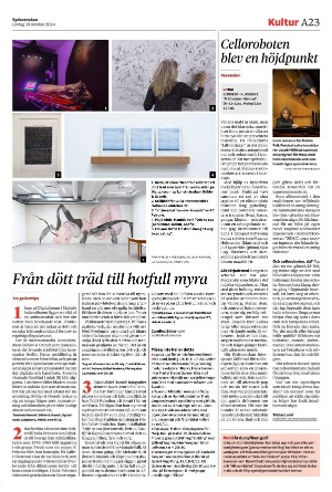 sydsvenskadagbladet_lund-20241019_000_00_00_023.pdf