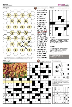 sydsvenskadagbladet_lund-20241109_000_00_00_023.pdf