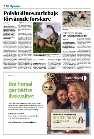 sydsvenskadagbladet_lund-20241203_000_00_00_020.pdf