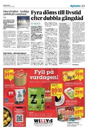 sydsvenskadagbladet_lund-20250123_000_00_00_009.pdf