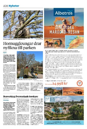 sydsvenskadagbladet_lund-20250310_000_00_00_016.pdf