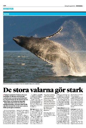 sydsvenskadagbladet_malmo-20220813_000_00_00_020.pdf