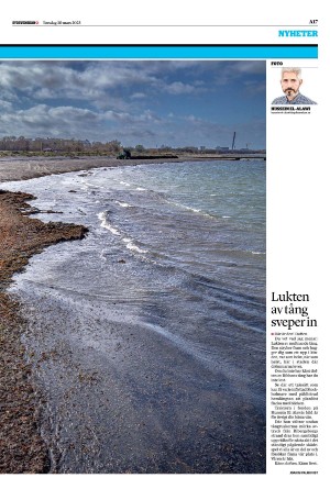 sydsvenskadagbladet_malmo-20230330_000_00_00_017.pdf