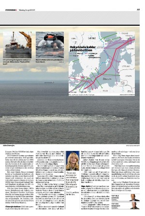 sydsvenskadagbladet_malmo-20230424_000_00_00_005.pdf