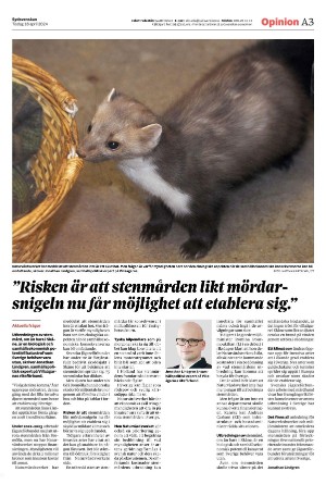 sydsvenskadagbladet_malmo-20240416_000_00_00_003.pdf