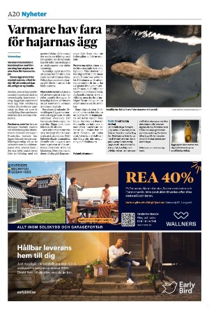 sydsvenskadagbladet_malmo-20240708_000_00_00_020.pdf