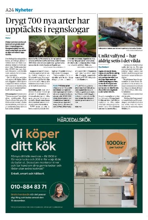 sydsvenskadagbladet_malmo-20241205_000_00_00_024.pdf