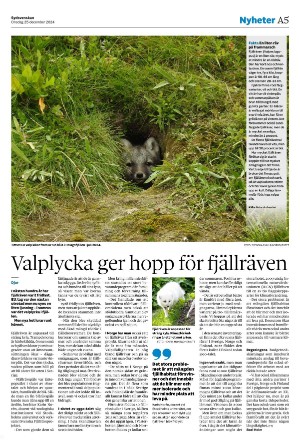 sydsvenskadagbladet_malmo-20241225_000_00_00_005.pdf