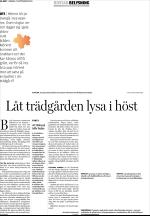 unt_bostad-20050925_000_00_00_008.pdf