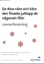 unt_bostad-20081115_000_00_00_018.pdf