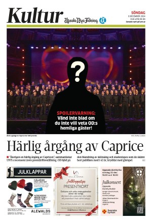 Upsala Nya Tidning Sektion B 2024-12-08