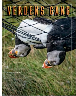 verdensgang_helg-20181201_000_00_00_015.pdf