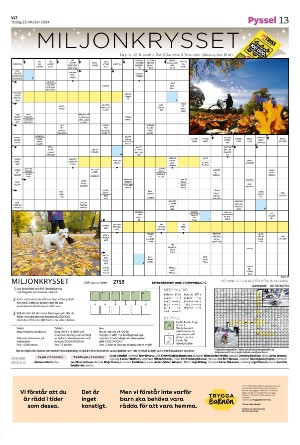 vestmanlandslanstidning-20241022_000_00_00_013.pdf