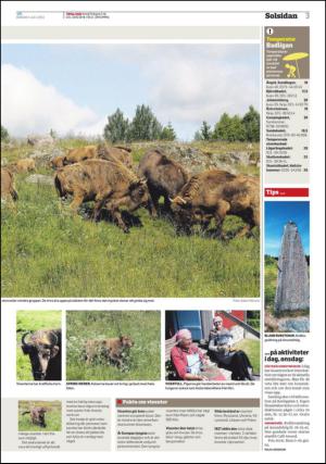 vestmanlandslanstidning_b-20130703_000_00_00_003.pdf