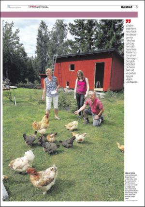 vestmanlandslanstidning_c-20130725_000_00_00_005.pdf