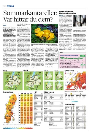 vetlandaposten_b-20240618_000_00_00_016.pdf