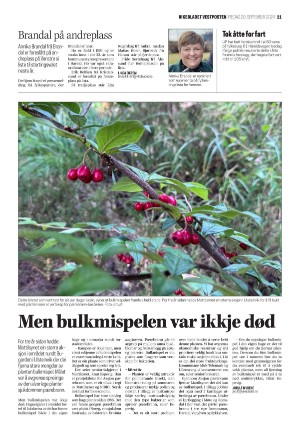 vikebladet-20240920_000_00_00_011.pdf