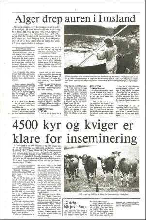 vindafjordingen-19880929_000_00_00_016.pdf